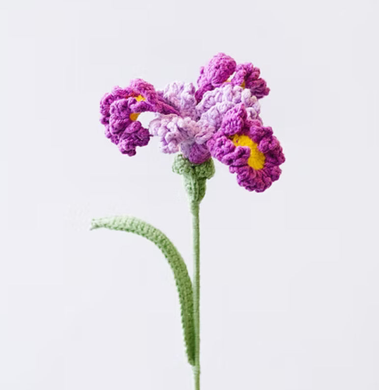 CROCHET IRIS FLOWER