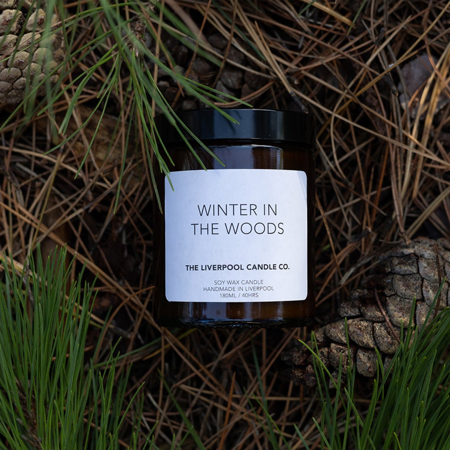 Winter in the Woods Candle