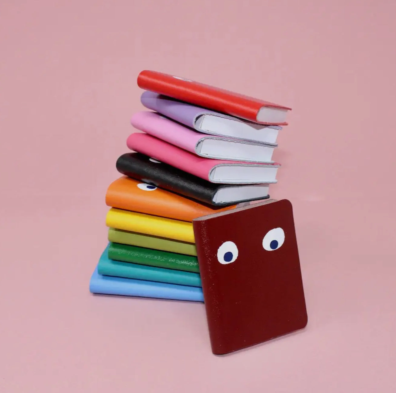 MINI LEATHER EYES NOTEBOOK