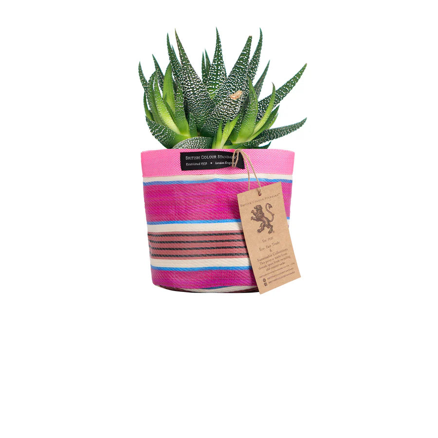 Eco Woven Plant Pot Cover