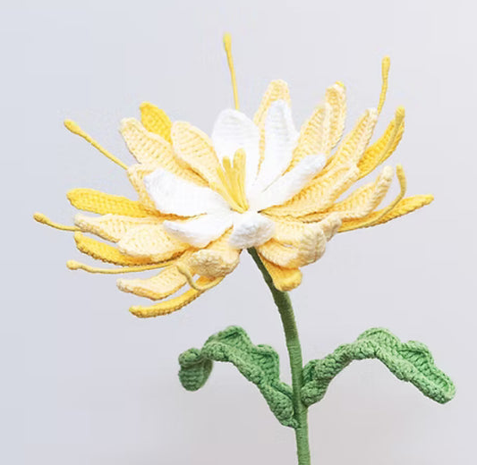 CROCHET QUEEN OF THE NIGHT FLOWER