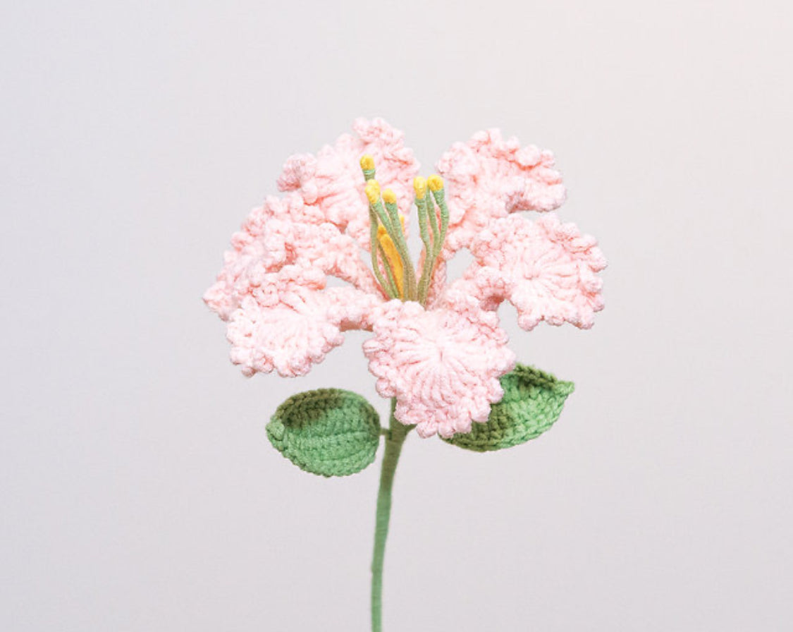 CROCHET CREPE MURTLE