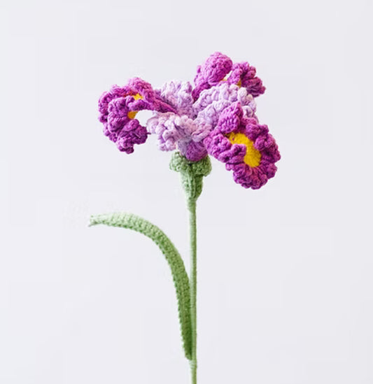 CROCHET IRIS FLOWER