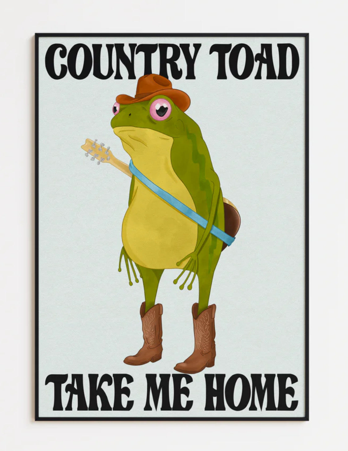 COUNTRY TOAD TAKE ME HOME