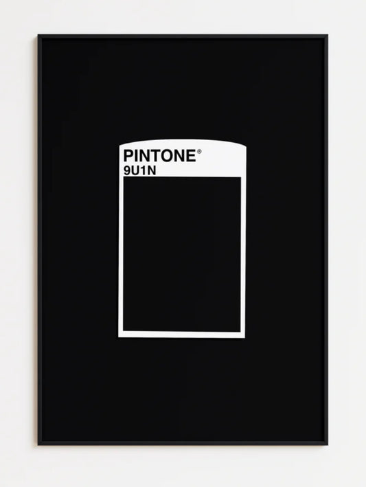 PINTONE GUINNES EDITION