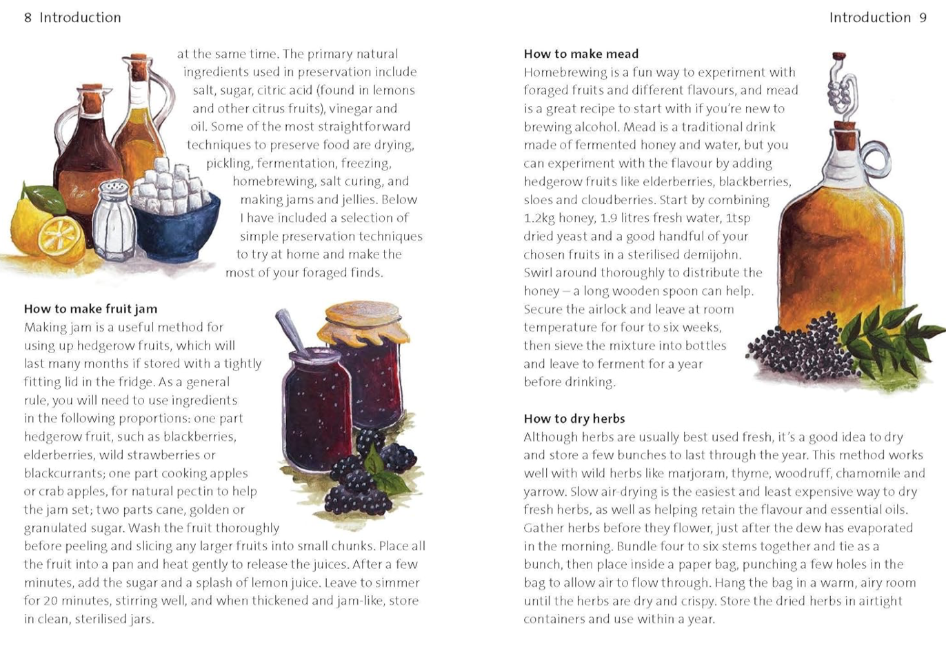 CONCISE FORAGING GUIDE