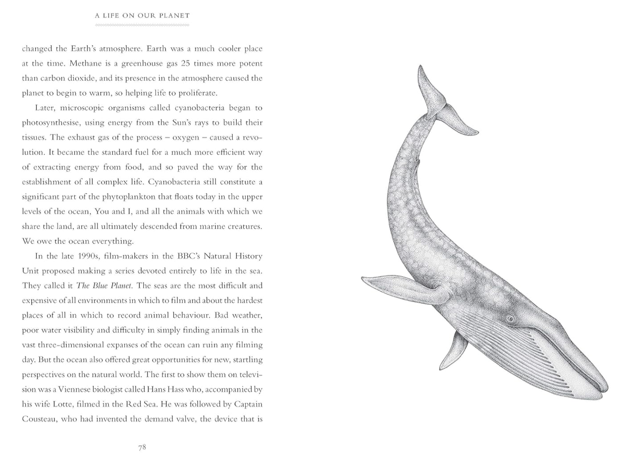 A LIFE ON OUR PLANET