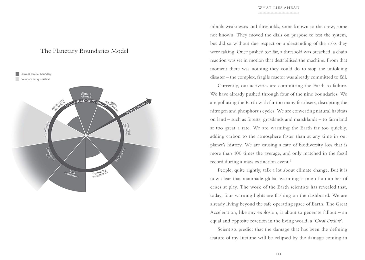 A LIFE ON OUR PLANET