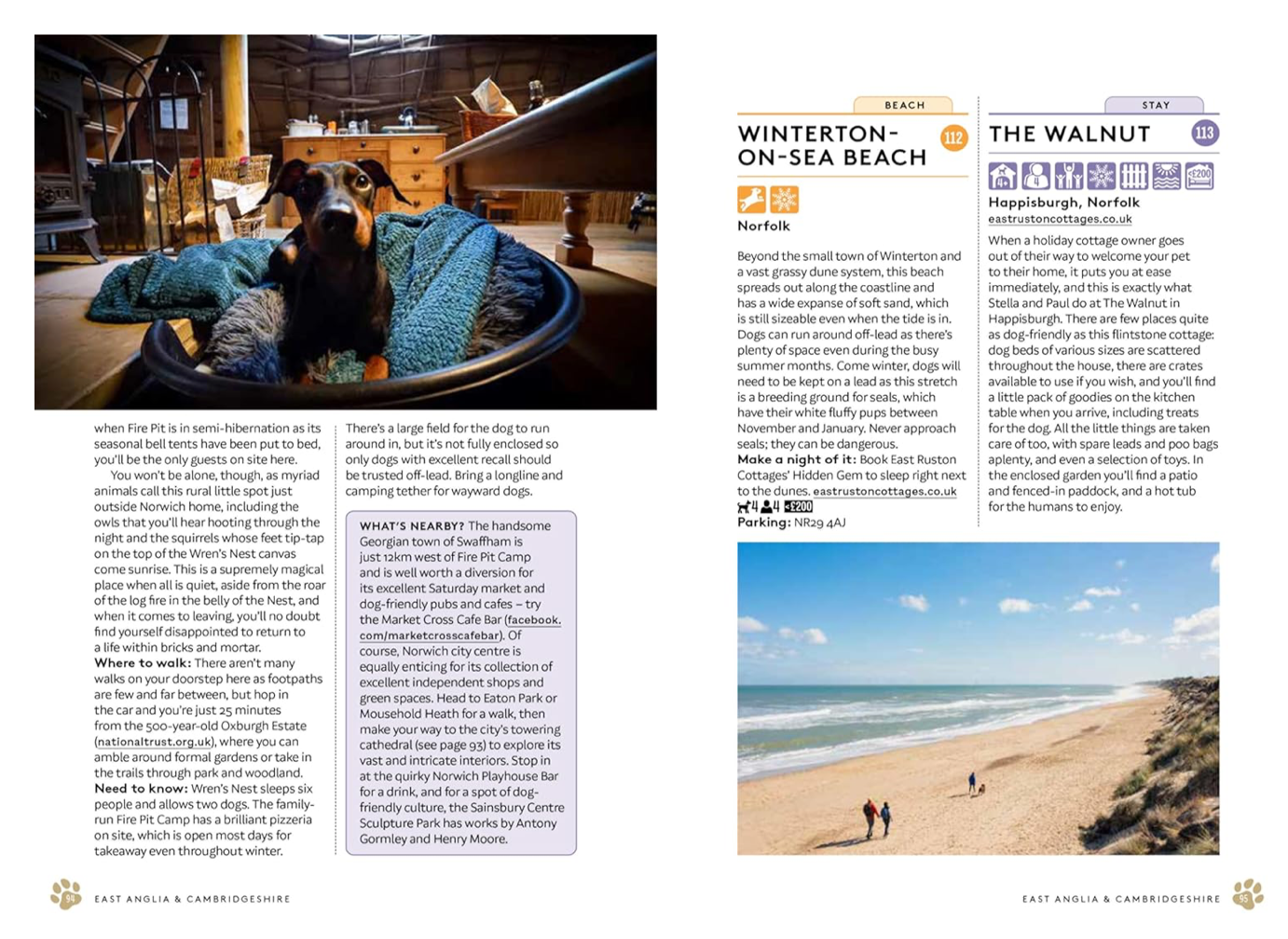 DOG DAYS OUT: 365 THINGS TO DO WITH YOUR DOG IN THE UK AND IRELAND