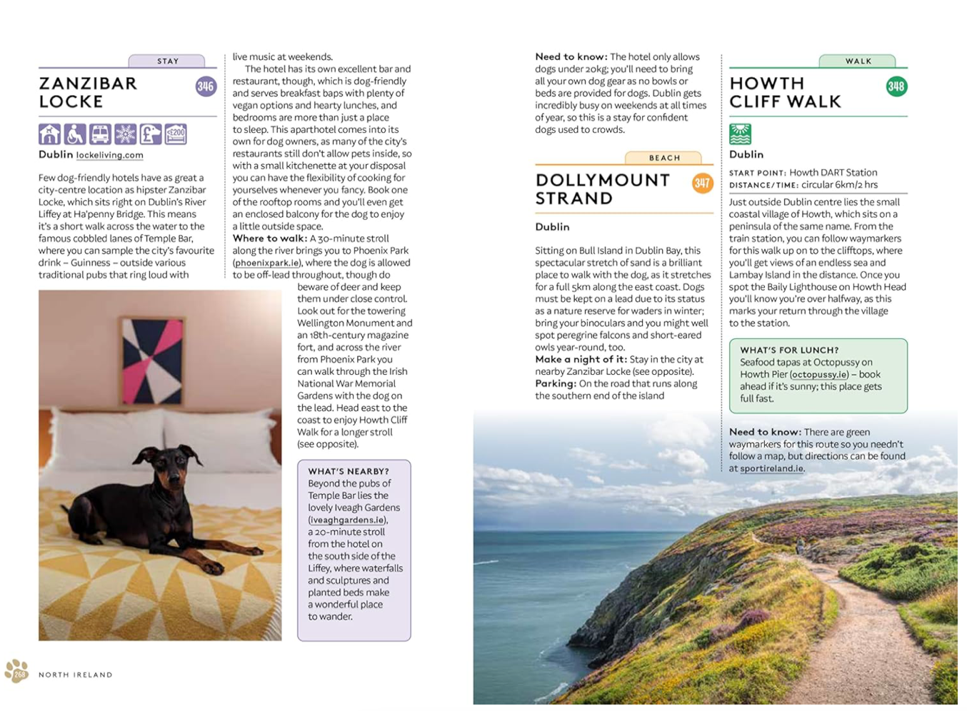 DOG DAYS OUT: 365 THINGS TO DO WITH YOUR DOG IN THE UK AND IRELAND